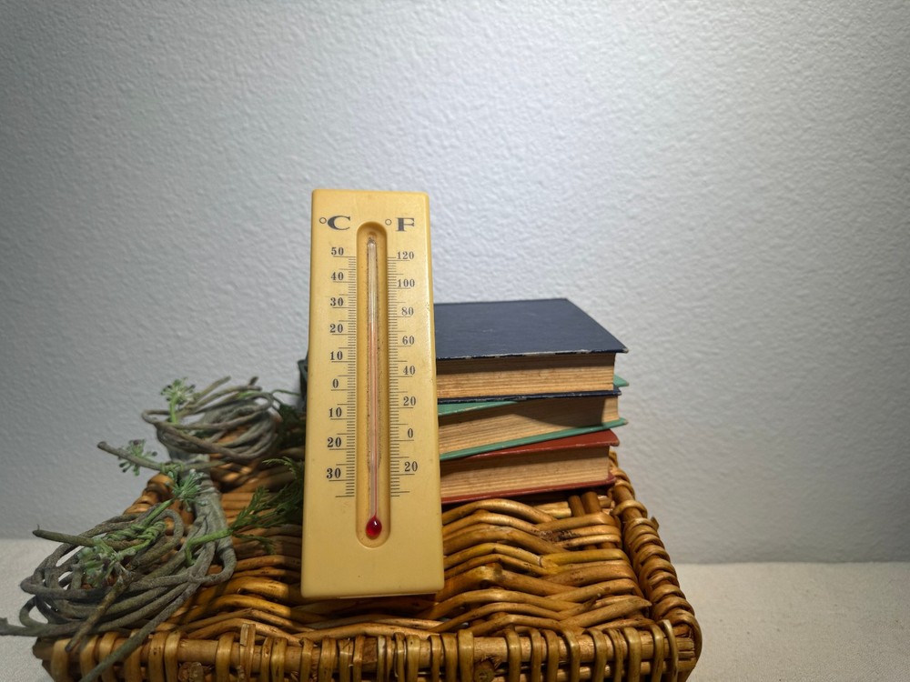 Vintage 6" Plastic Thermometer