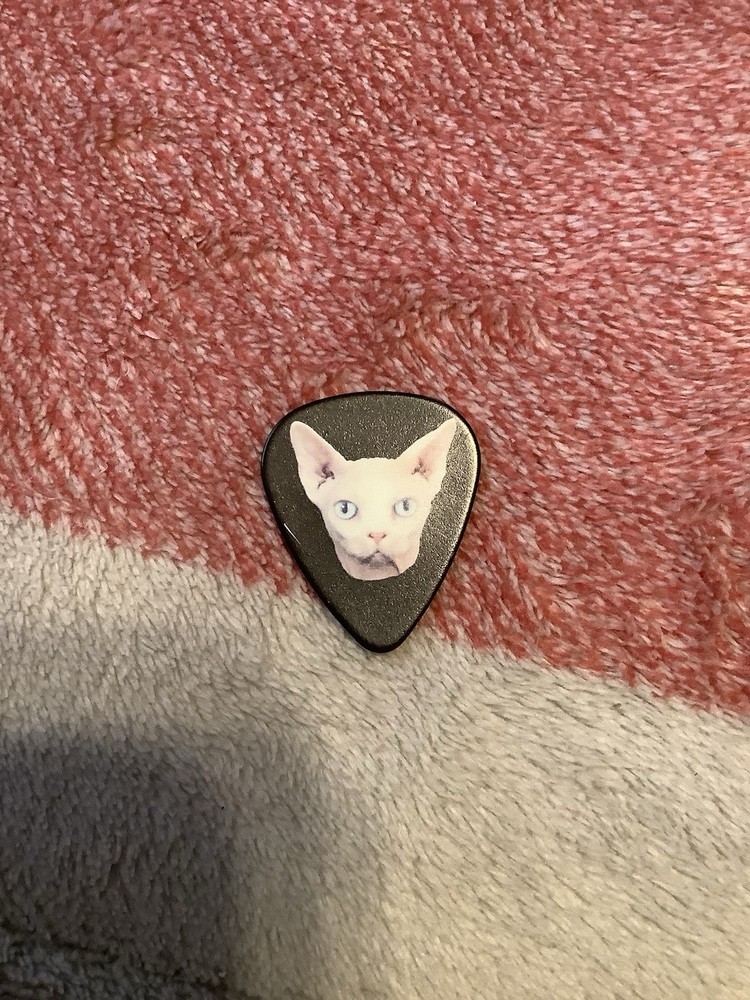 John 5 Guitar Pick