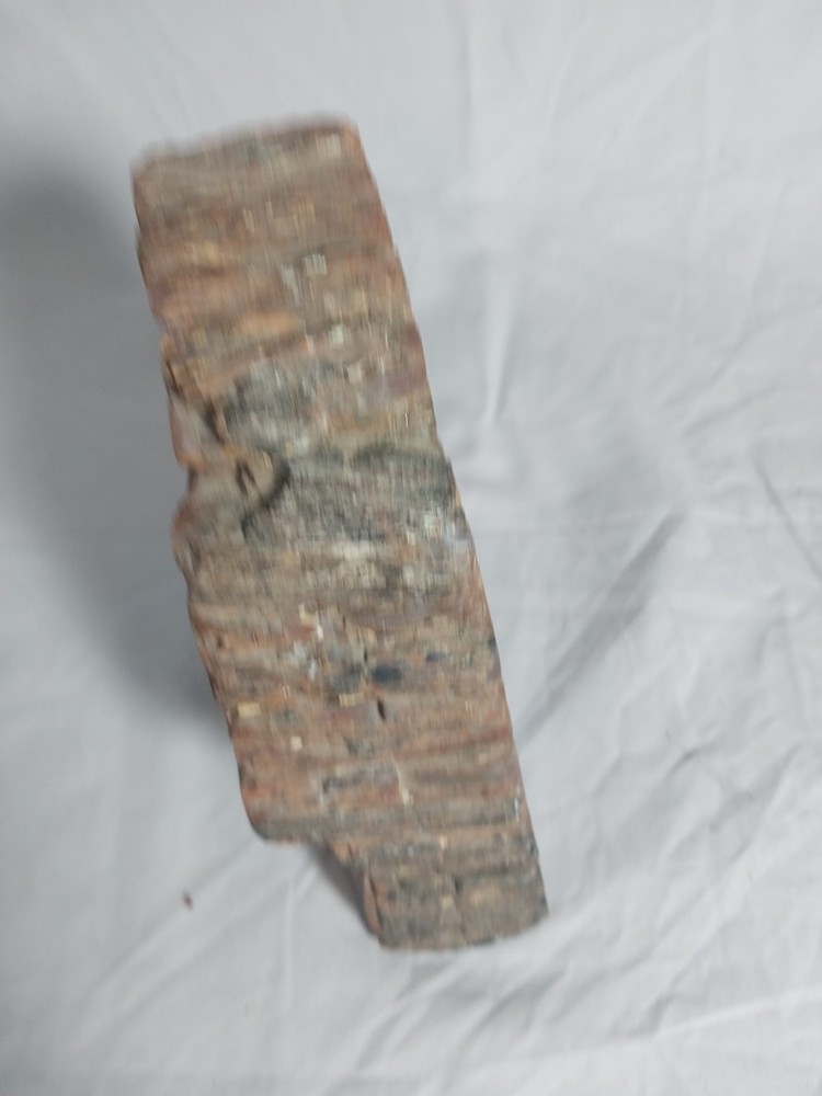 Fossilized Wood Chunk, Petrified Wood