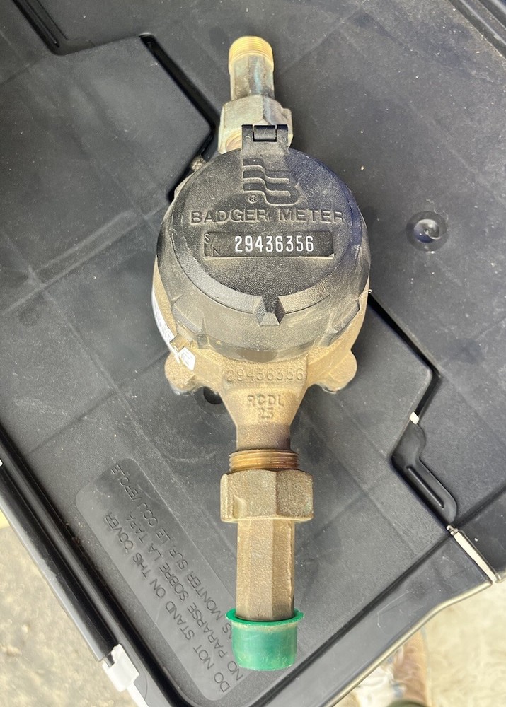 Badger Meter RCDL25 Nutating Disc Flow Meter