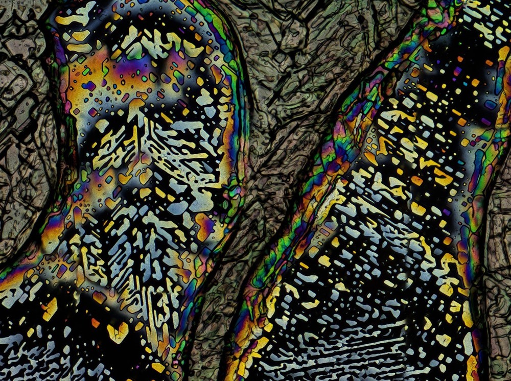 Microscope slide for polarization, THIOACETAMIDE