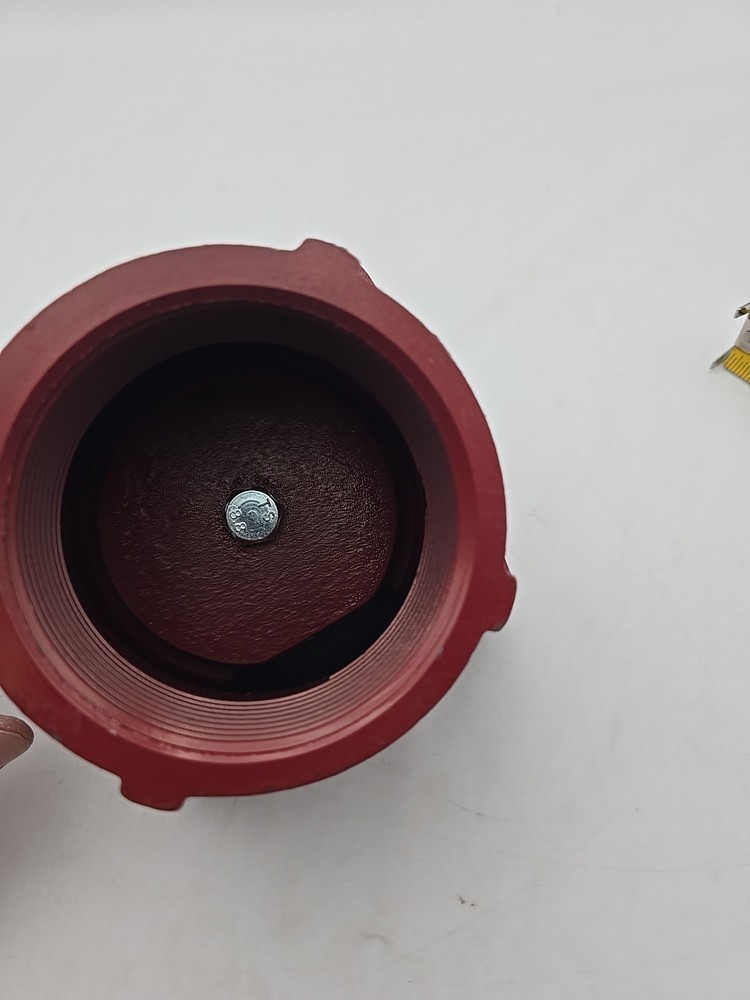 CAST IRON THREADED FOOT VALVE 3 1/4" Red