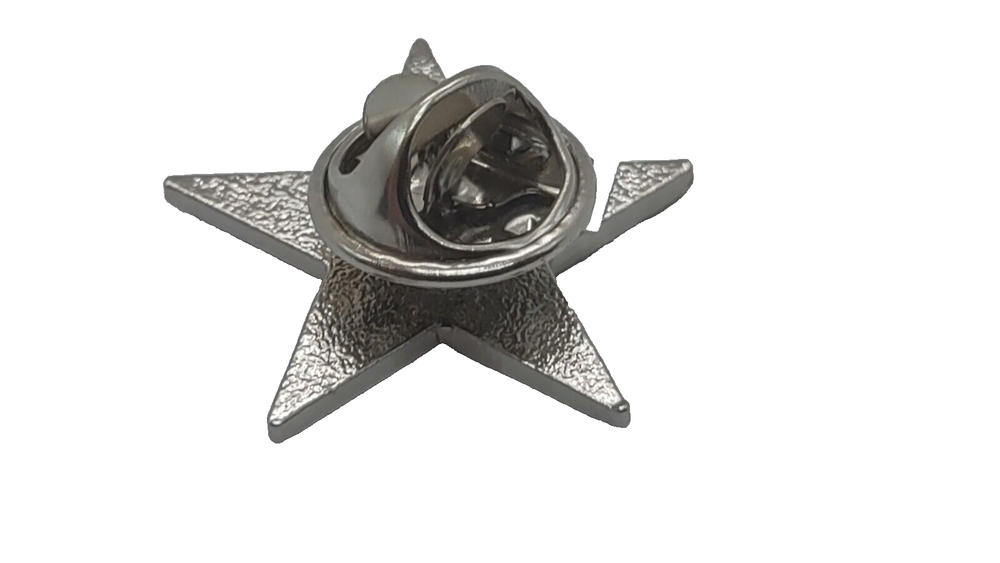 Eastern Star 1-inch Lapel Pin P02004