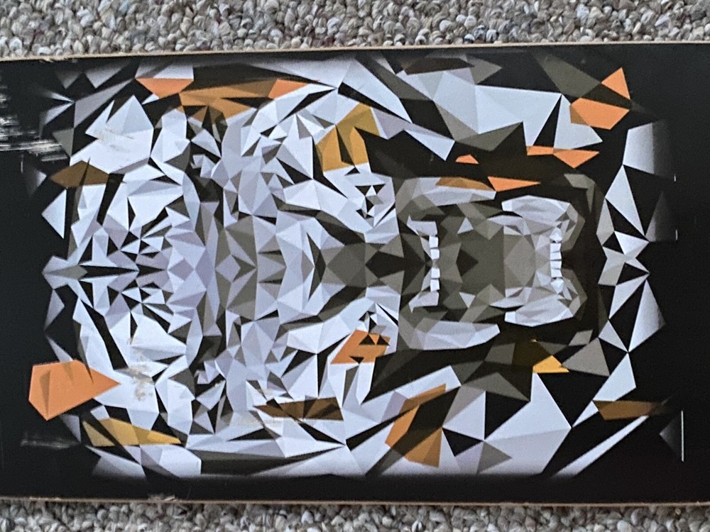Playshion Tiger 39" Beginners Drop Through Longboard Skateboard