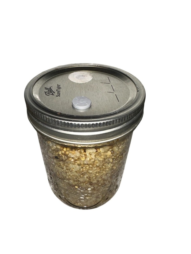 Sterilized MILLET Jars For Mushroom Inoculation Two(2) Count
