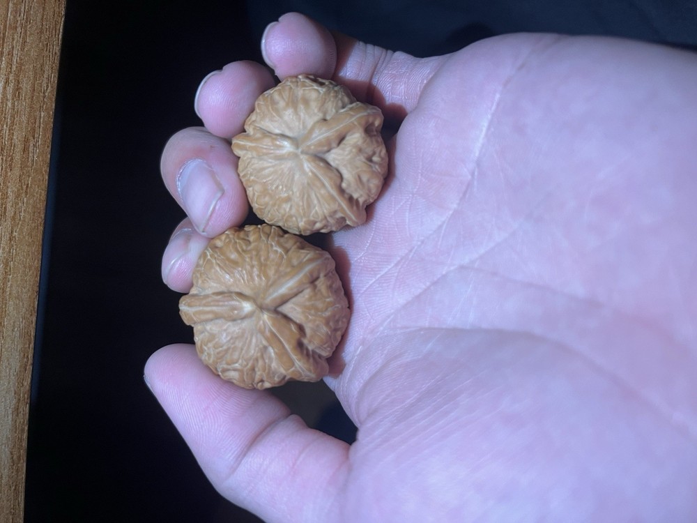 文玩核桃.平谷元包人字 小三棱。白茶一大一下 对子差一点，看好了在下单 36X37X32。34X33X29