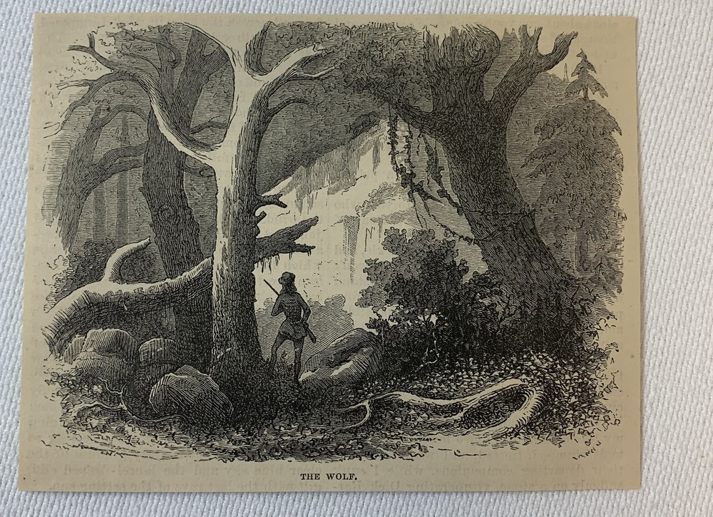 1872 magazine engraving~ HUNTING THE WOLF