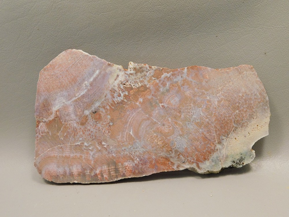 Red Agate Pseudomorph Stone Slab Lapidary Rough Rock #O1