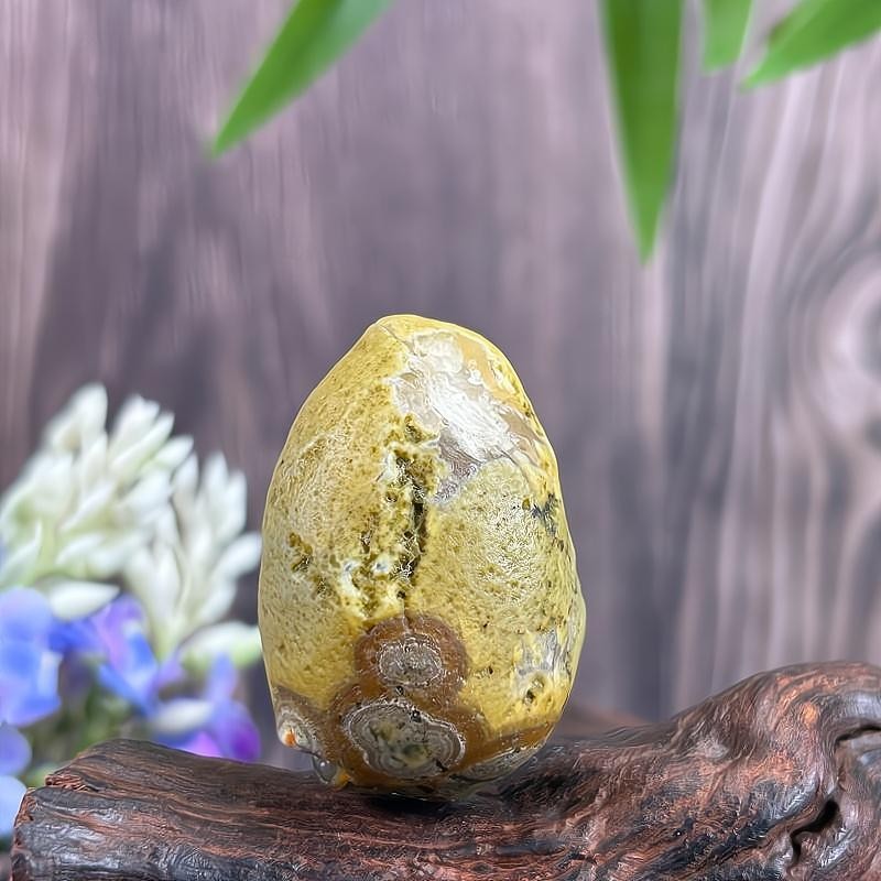 China Inner Mongolia Gobi Rough Agate Specimen