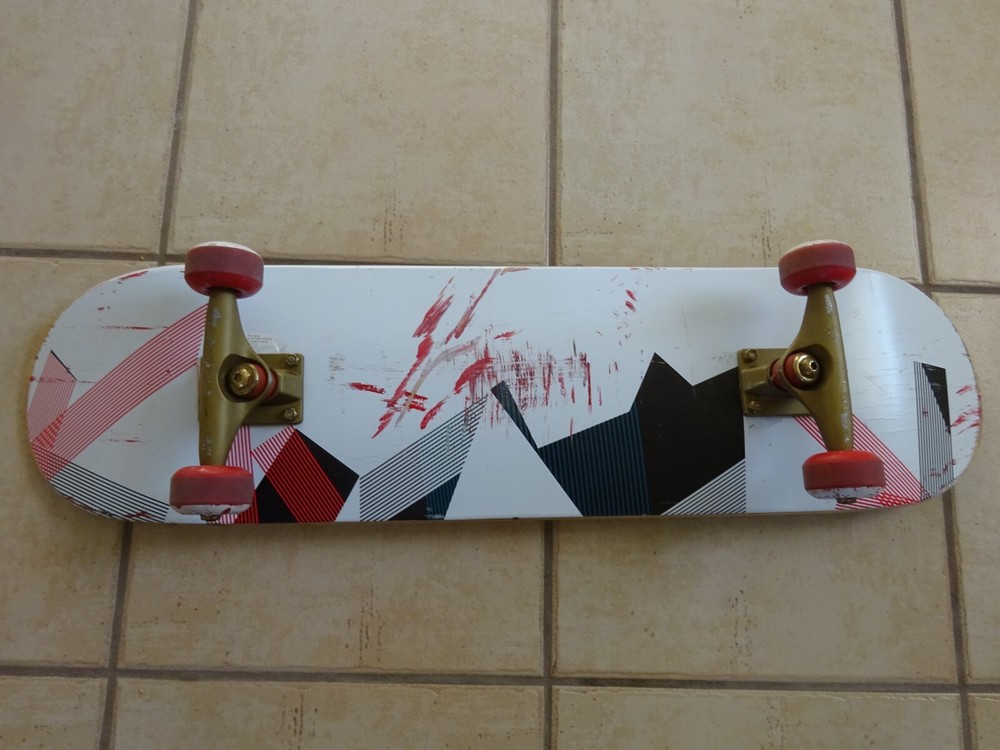 Derek Lam Skateboard 10 Limited Edition