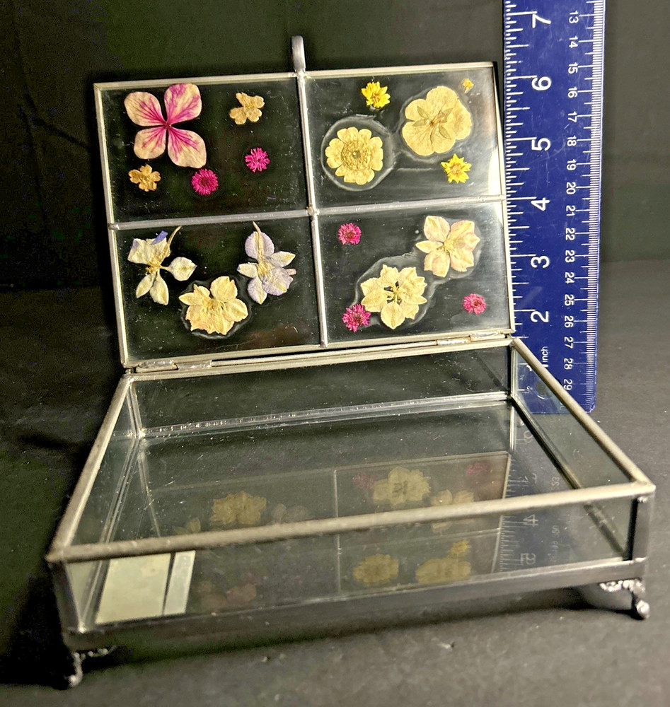 Carr Atrium Photo Box - Garden