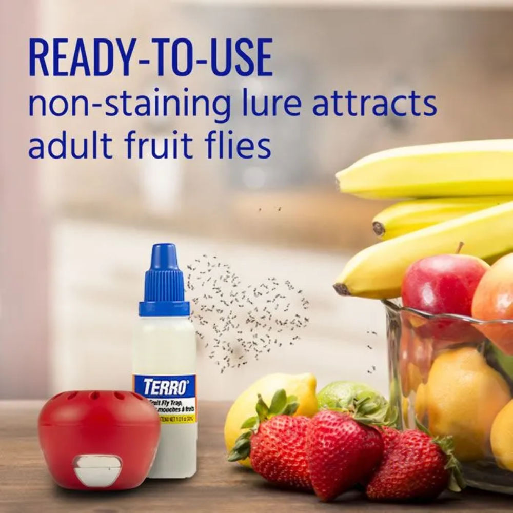 TERRO® Fruit Fly Trap, 2pk