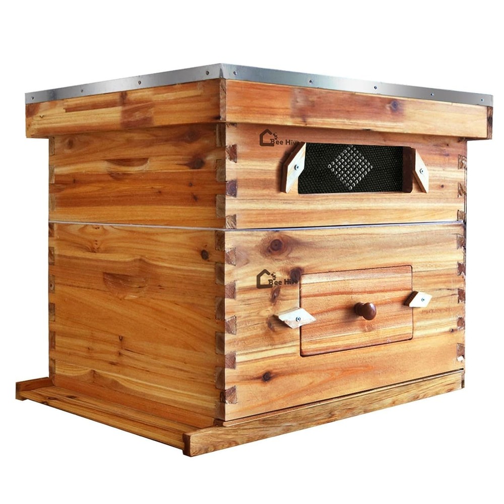2 Layer 20 Frame Beekeeping Starter Hive 1 Deep 1 Medium Cedarwood Kit w/ Window
