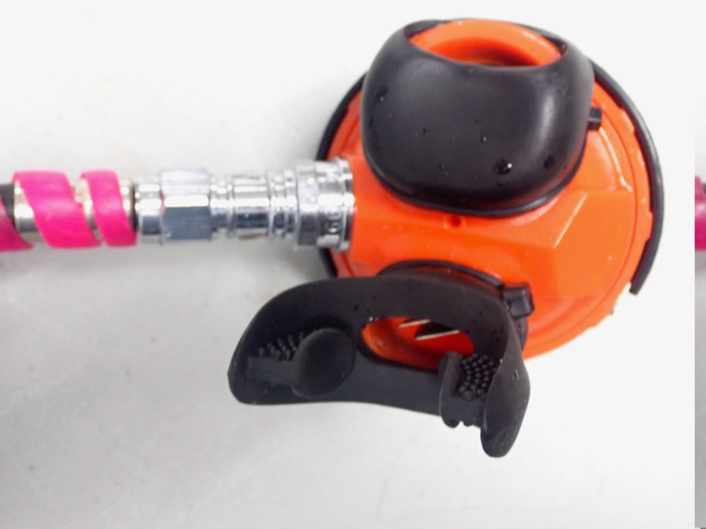 Sherwood Brut Scuba Regulator & Octopus Octo needs Service