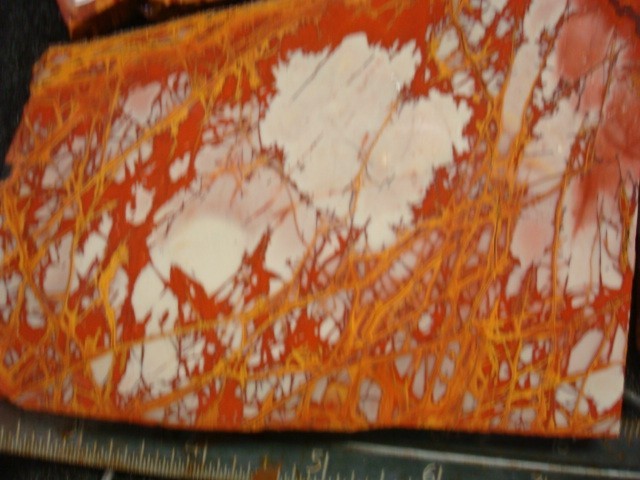 noreena jasper 4 slabs