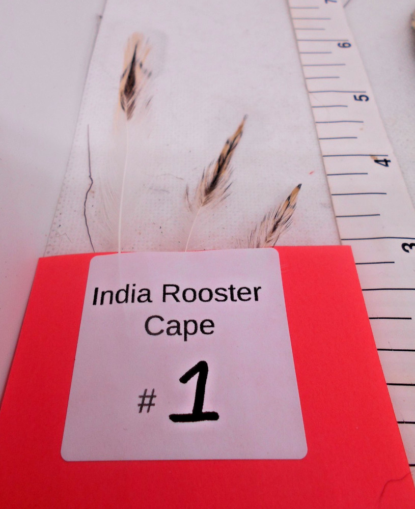 Indian Natural Variant Rooster Capes