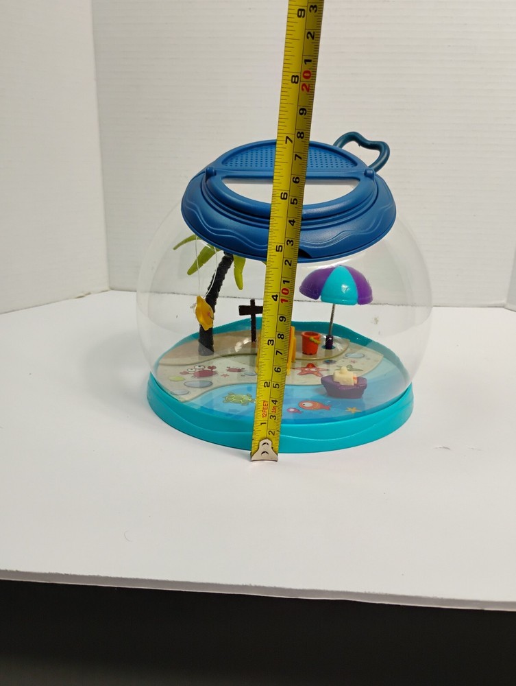 Bug Hermit Crab Habitat Small Creature sumner fun cottage ocean bug catcher