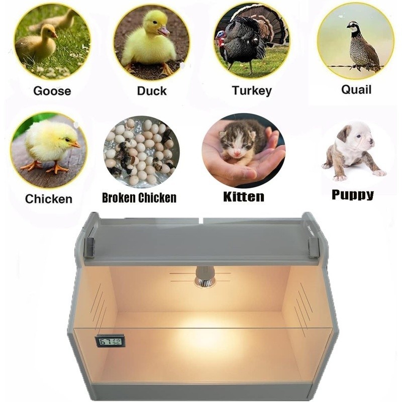 110V 50W Heat Lamp Brooder Box Temperature Control W/ Humidity Display New