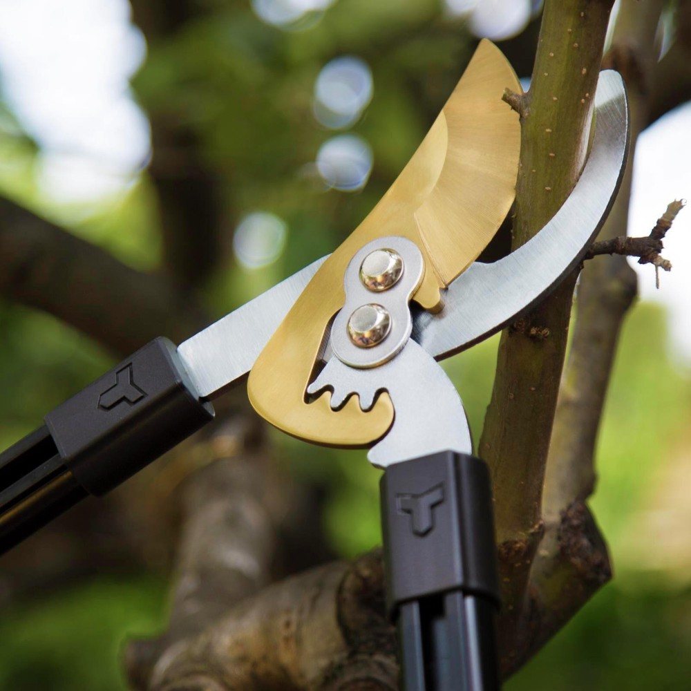 Trojan Geared Telescopic Bypass Lopper