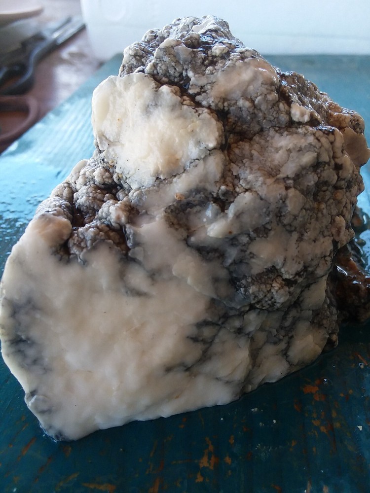 Lapidary Howlite Window Cut Spider Veining Collect Display