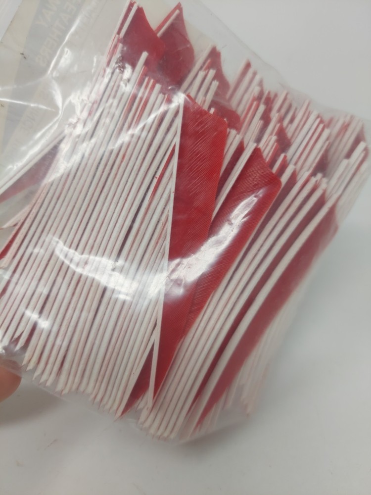 100 Pack Gateway Feathers 4" Left Wing: Shield Rose Red 400LSSRR-100