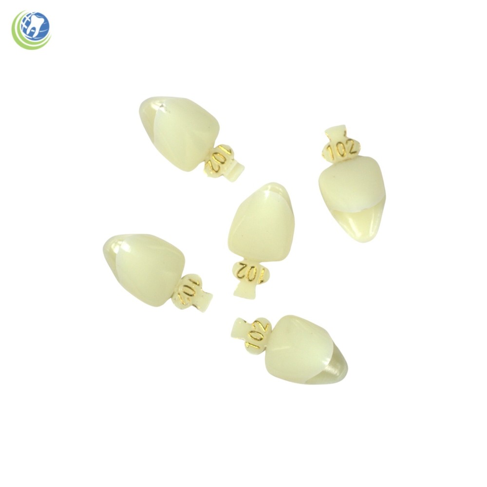 DENTAL POLYCARBONATE TEMPORARY CROWNS #102 (ULC) UPPER LEFT CENTRAL 5/PACK