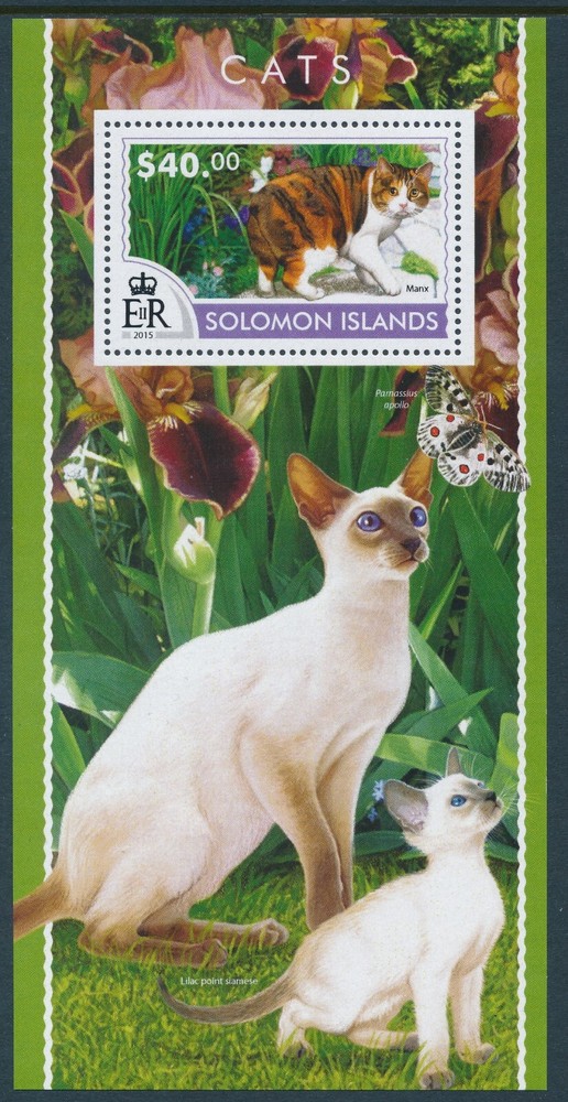 2015 SOLOMON ISLANDS CATS MINI SHEET ($40) FINE MINT MNH