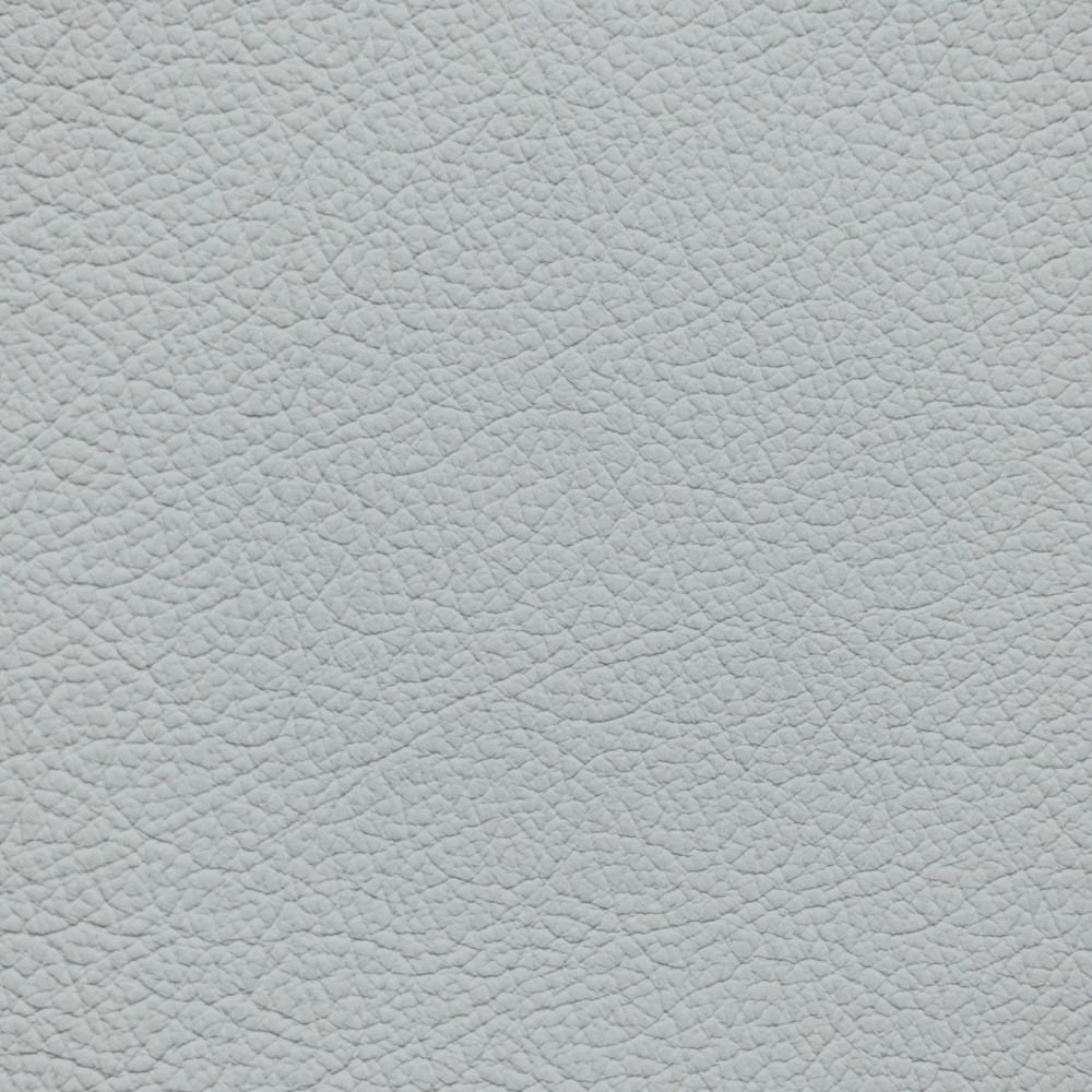 Infiniti Light Gray Leather Dye