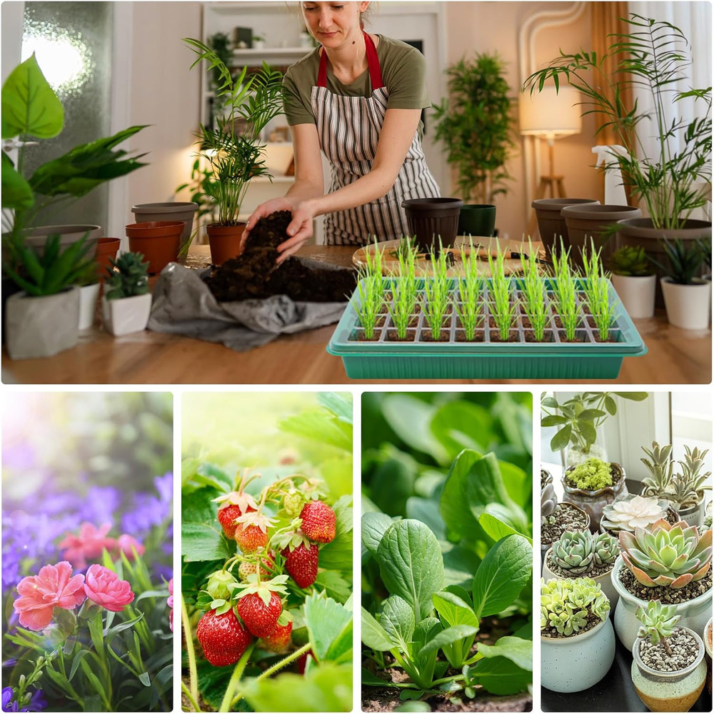 80 Cell Seed Starter Tray with Grow Light, 2 Pack Smart Timer Seed Starter Kit w
