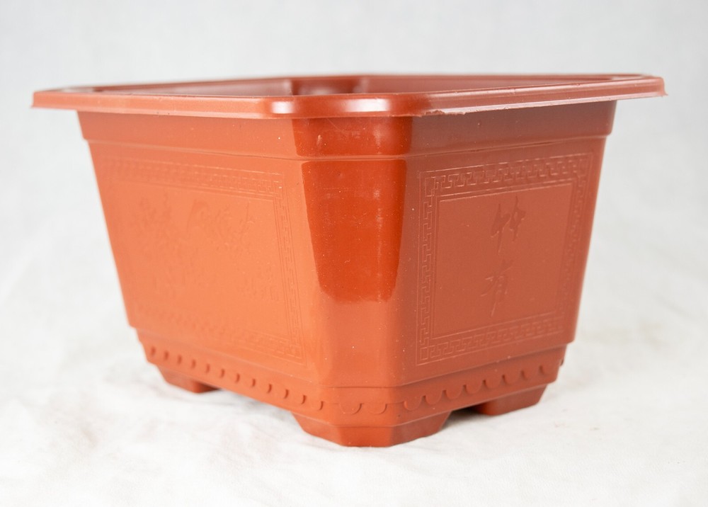 Rectangular Plastic Cactus & Succulent, Bonsai Training Tall Pot 7.25" to 17.5"
