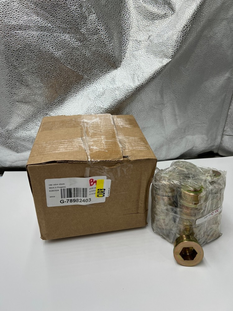 Pack of 20 Check Valve Cap Threaded Heavy Duty