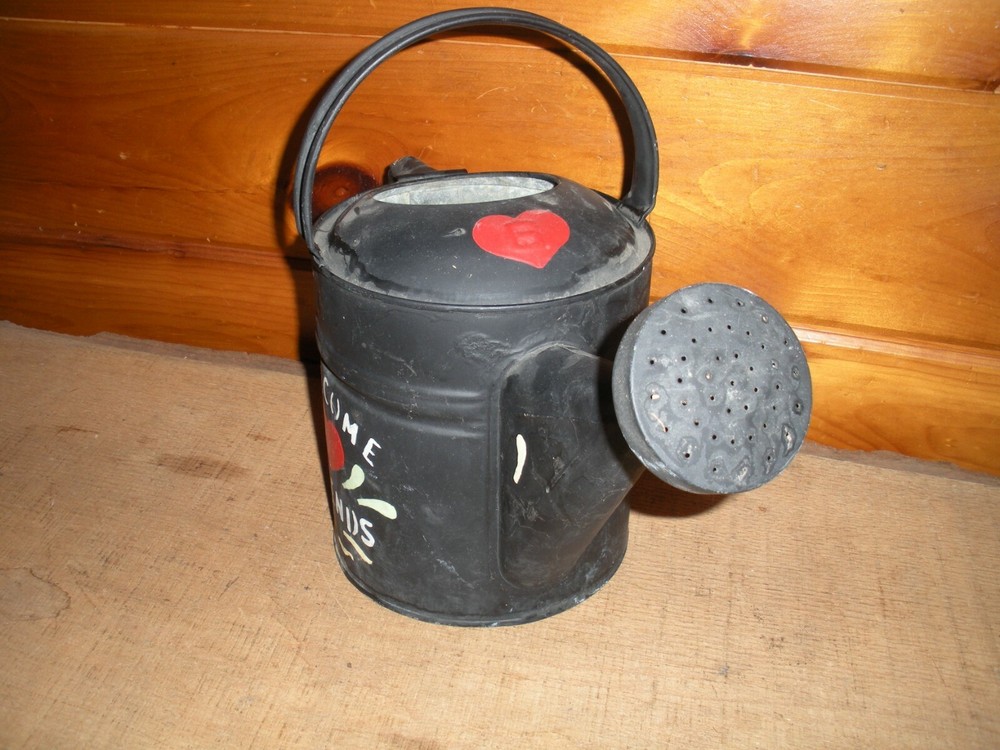 Vintage Galvanized Hand Painted Watering Can / 6 Quart