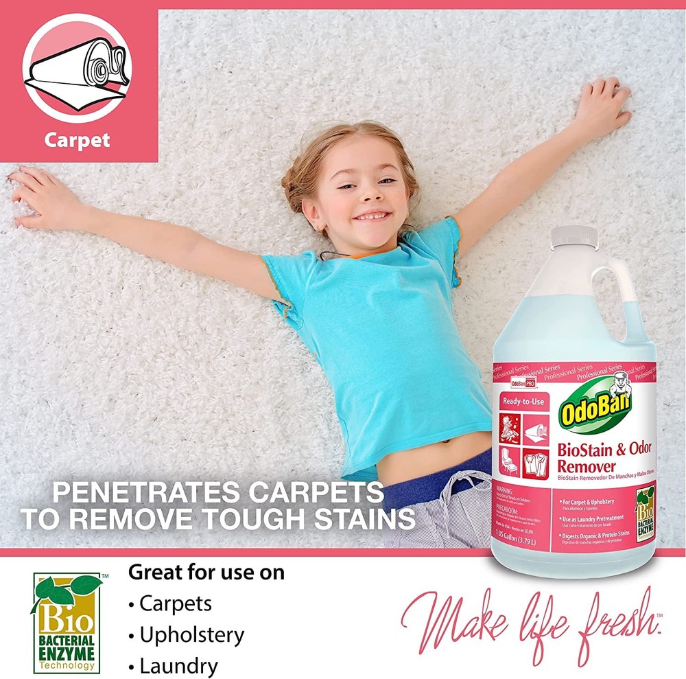 Professional Ready-to-Use Biostain & Odor Remover 2 Gallons