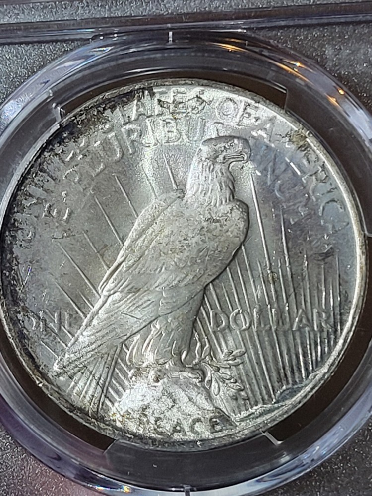 1923 $1 Peace Dollar PCGS MS65 Toned