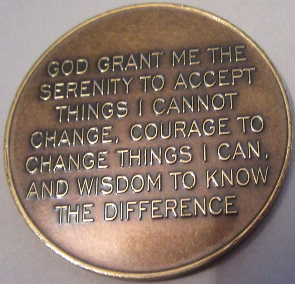 Alcoholics Anonymous AA bronze Medallion Butterfly NA keep it simple token Token