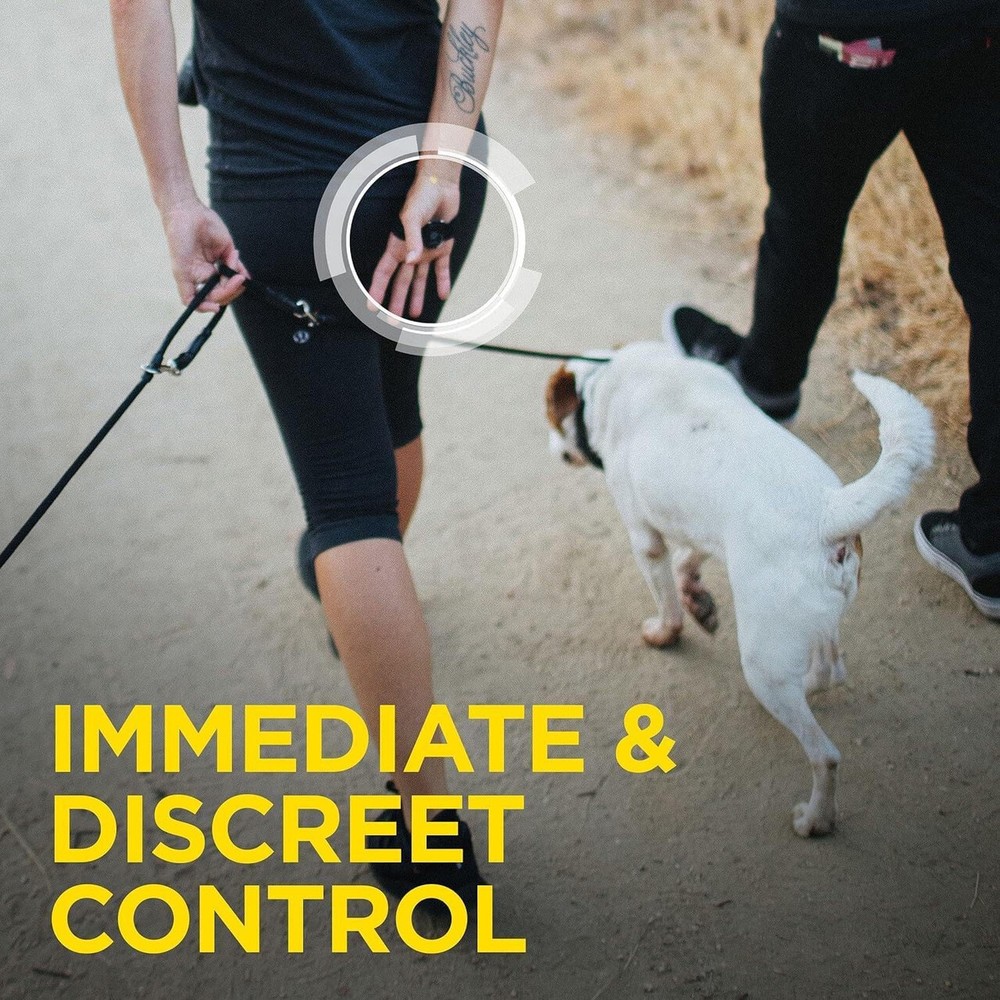 Dogtra HANDSFREE Square Expandable Remote Dog Training Device