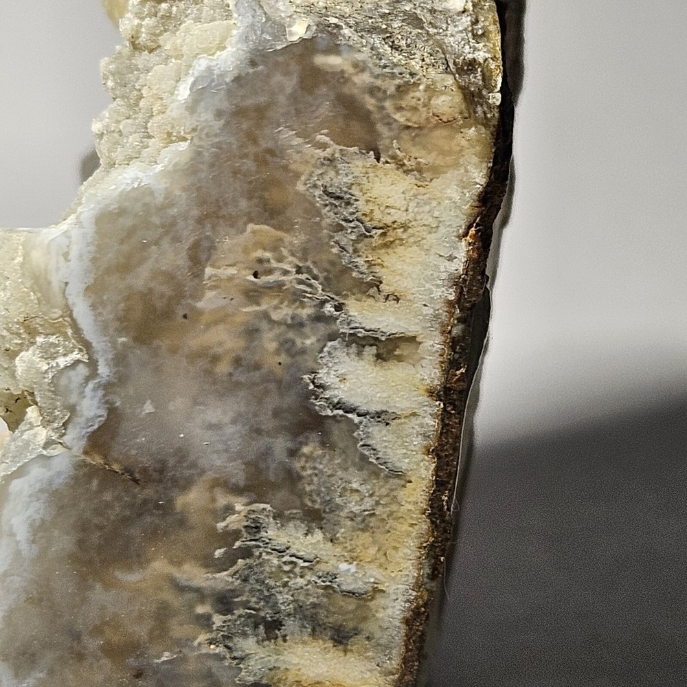 Polished Plume Agate Rough Display Specimen 429 Grams