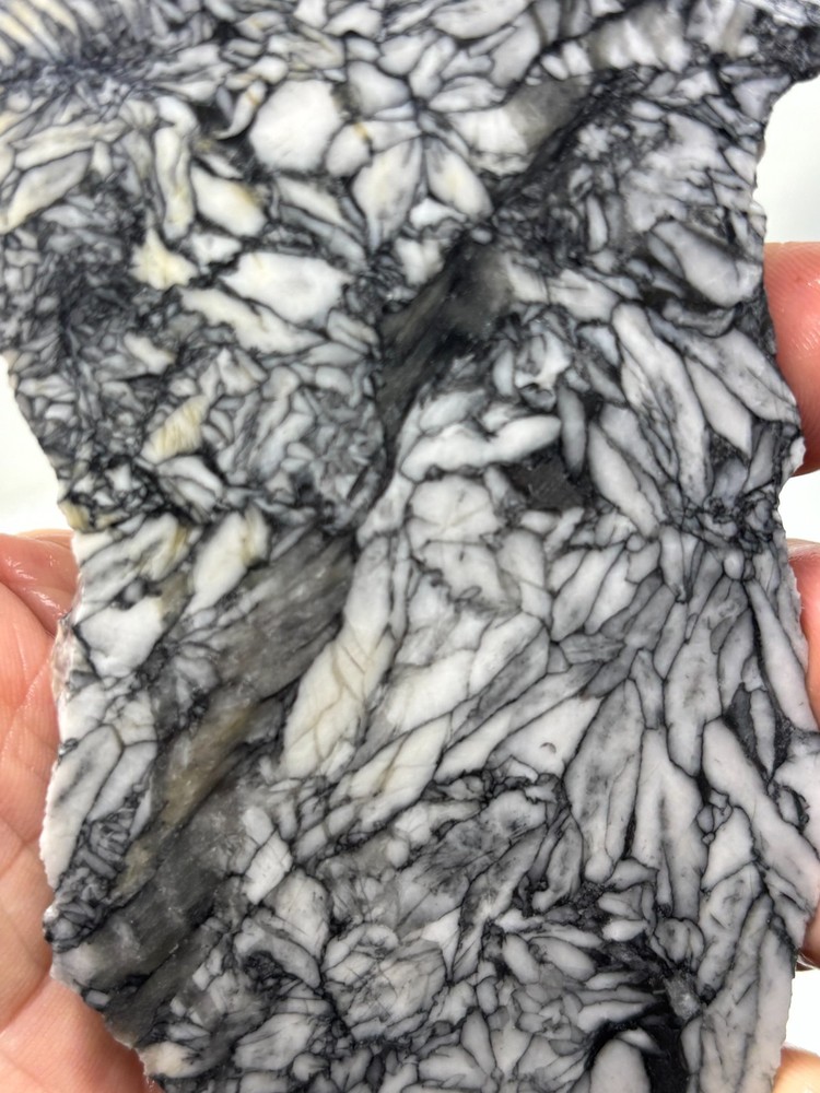 Rare Pinolith Slab Austria Cabbing Lapidary Combo Ship Avail