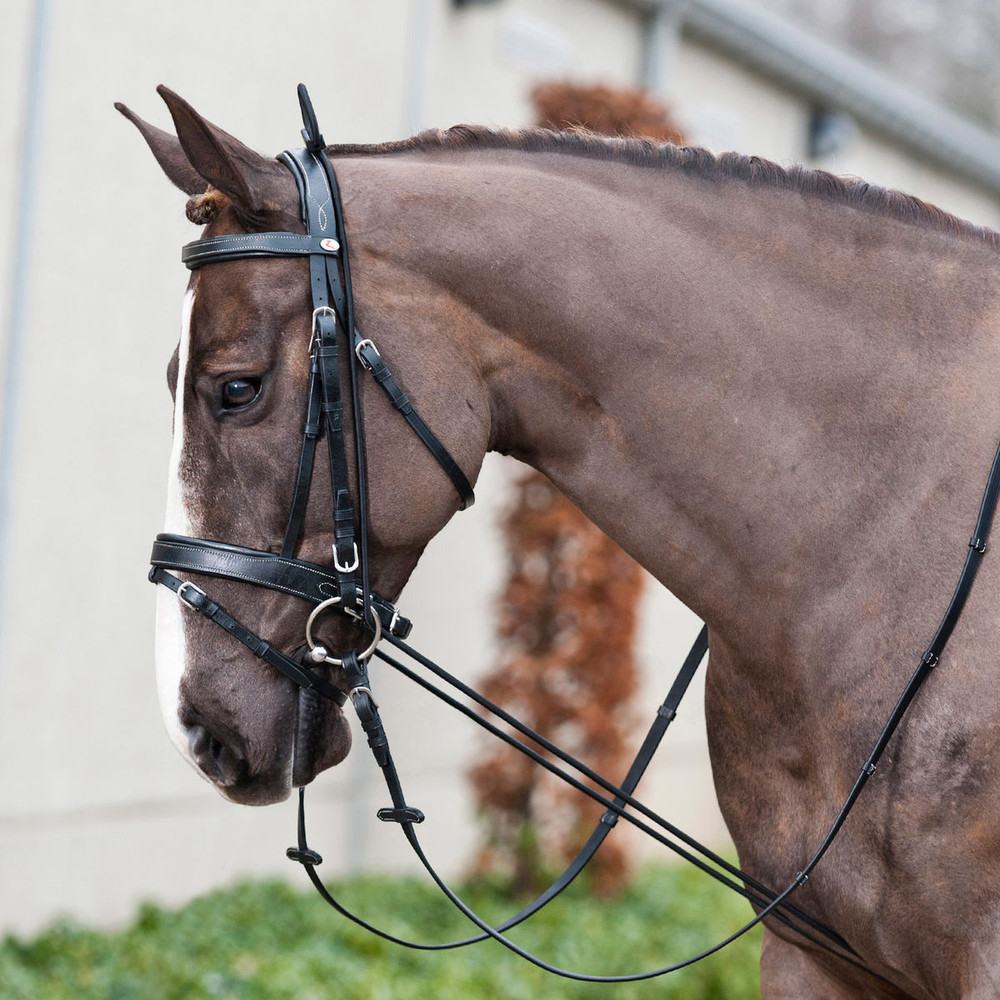 3m Elastic Training Chambon Side Reins, Equestrian Elastic Training Strap