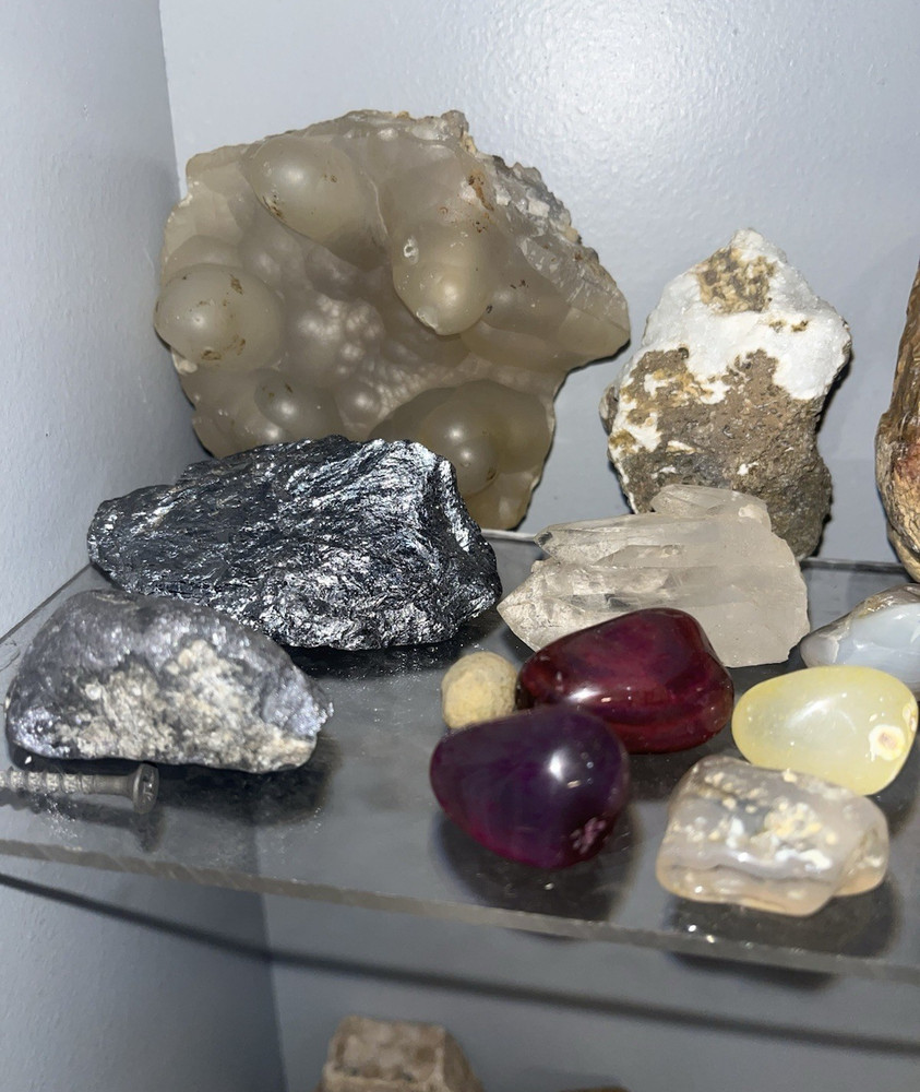 Petrified Wood Fossils and Mineral Specimens Collection for Display or Study