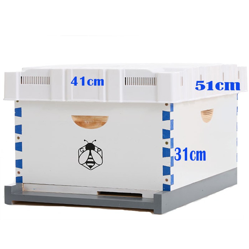 Langstroth Beehive Kit 10 Frame Box brood House +10 Deep Frames Comb Beekeeping
