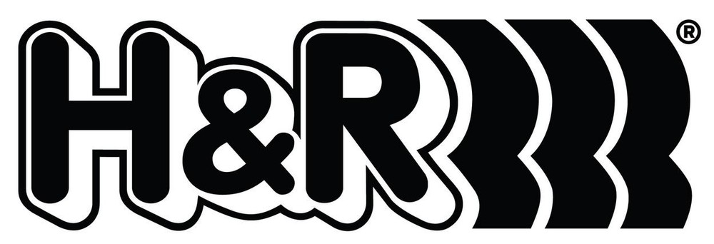 H&R Special Springs LP Sport Spring