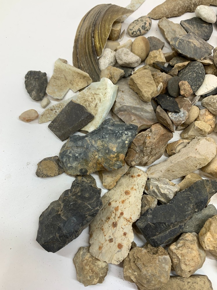 Rocks Mixed Group Assorted Sizes and Kinds A Little Almost 4 Pounds (Group #6)