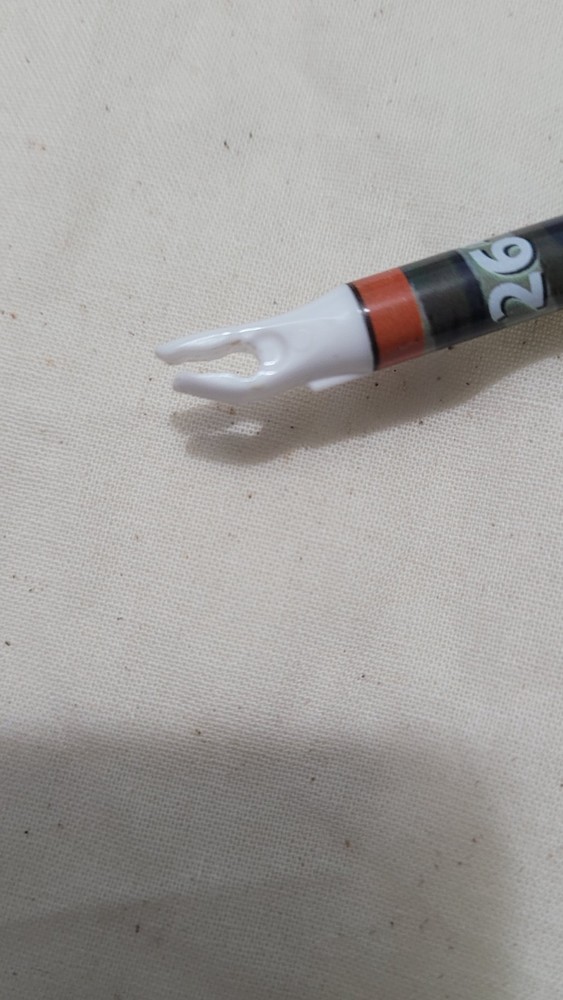 Barnnett tom cat 2 bow