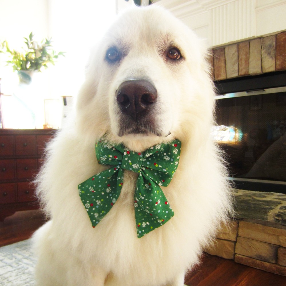 Fall Paw Prints Pet Bow Tie or Sailor Bow-4 Sizes Available