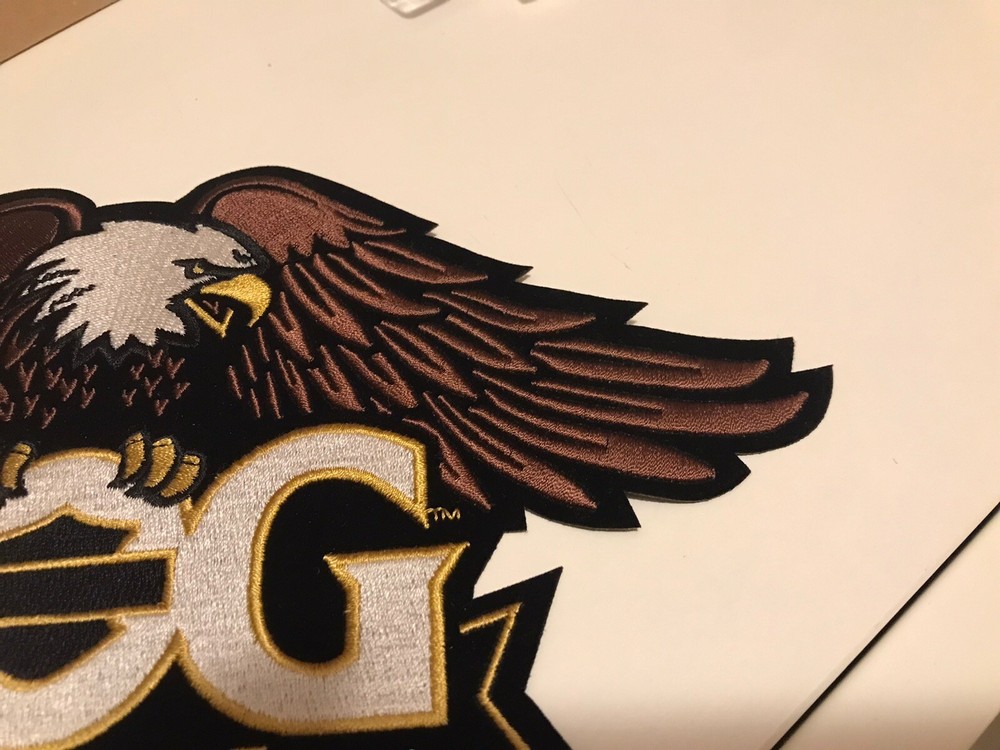 Large 10 3/4" Harley Davidson Owners Group Patch HOG Eagle Motorcycle Jacket