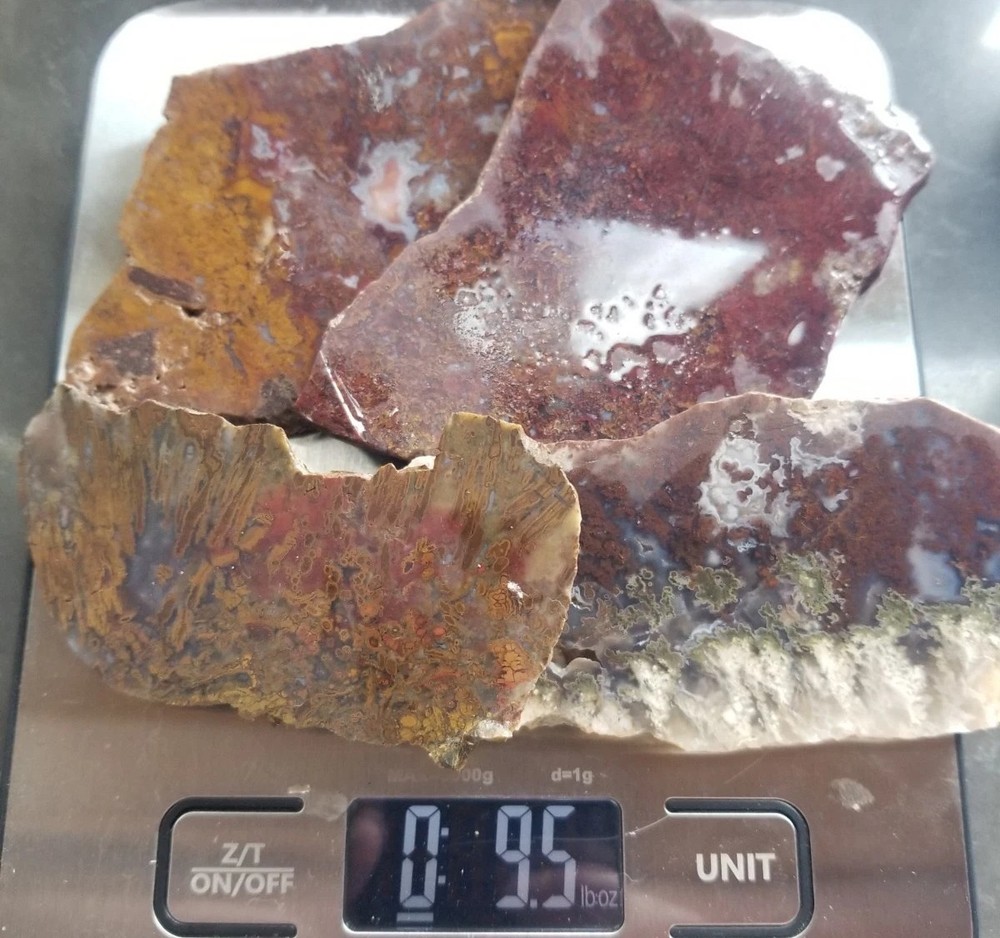 Great Multicolor Moss Plume Agate 4 Slab Lot 271g Various Specimens Translucent