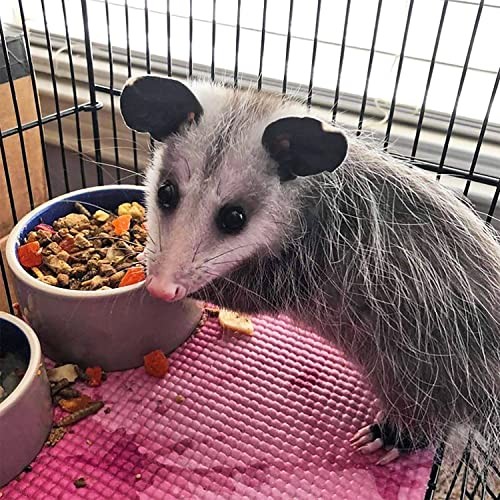 Exotic Nutrition Opossum Complete Nutritional Pellet Diet - 1 lb