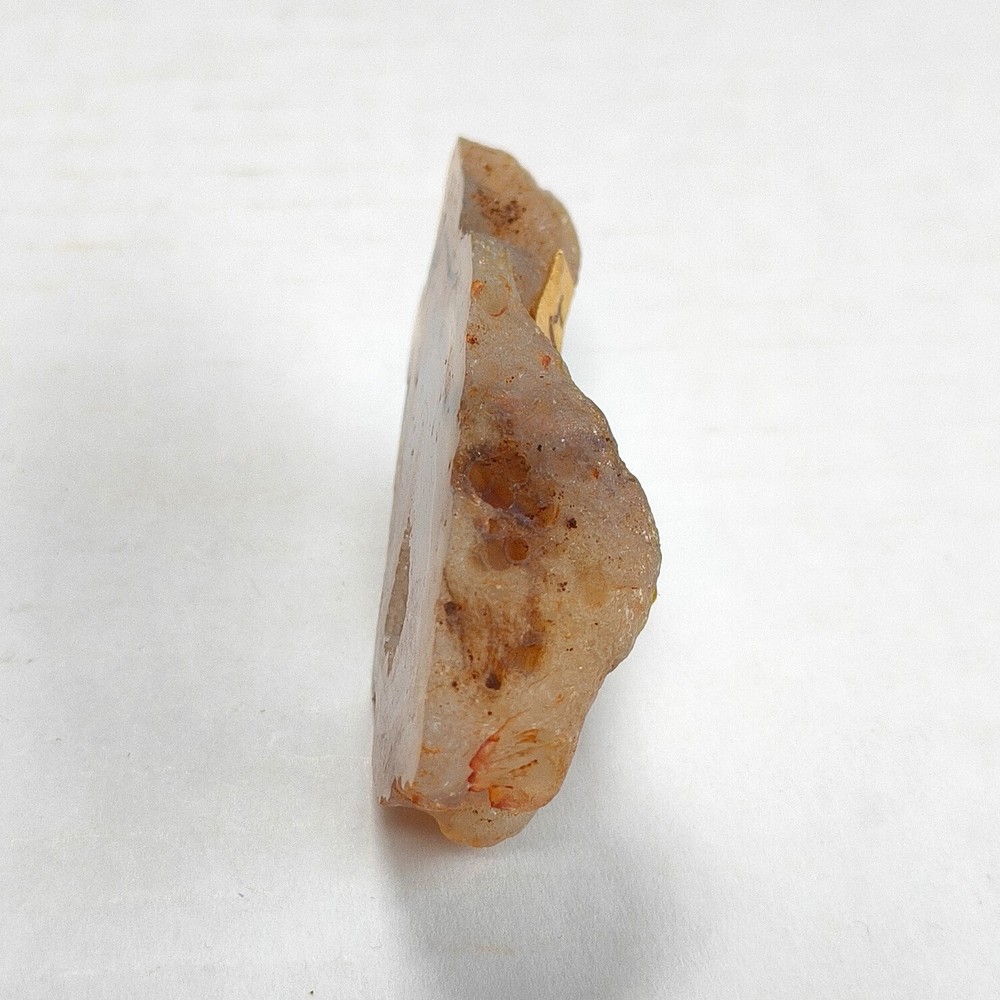 Natural Dendritic Agate Slice - Rare Eagle Point Specimen with Intricate Pattern