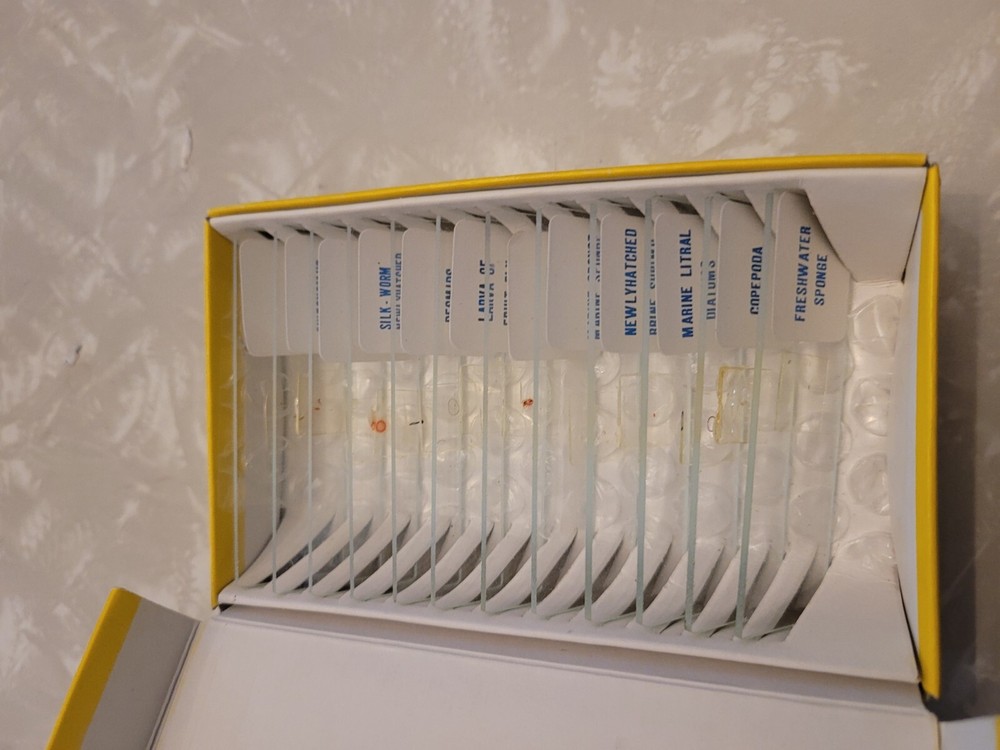 Micro-Science 100x 200x 450x Microscope & 12 Slides Box